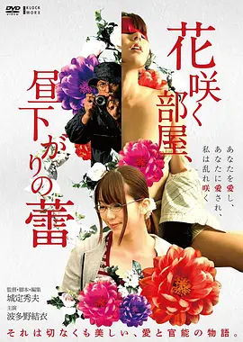 电影《荒原邮差》海报